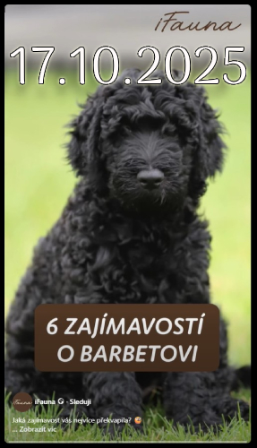 popis druhého obrázku